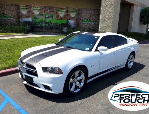 Dodge Charger Window Tint