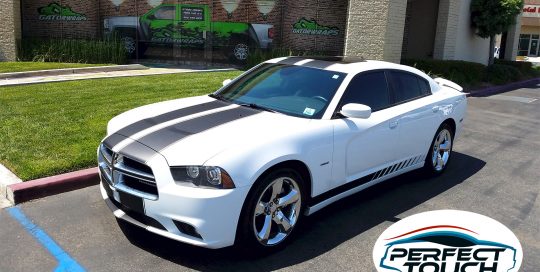 Dodge Charger Window Tint